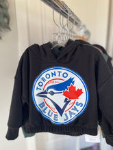 Load image into Gallery viewer, Blue Jay - Preorder